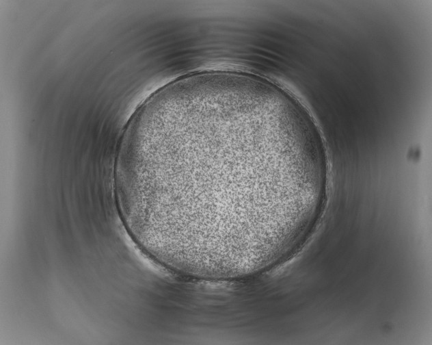 X0000111661041200908071428