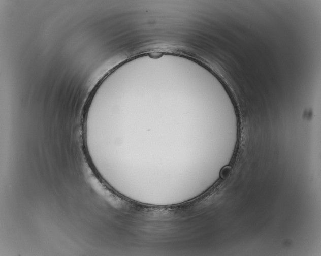 X0000111661042200908071428