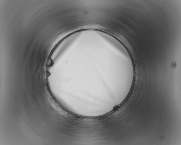 X0000111661044200908071428