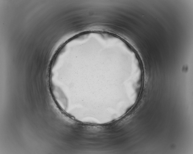 X0000111661045200908071428