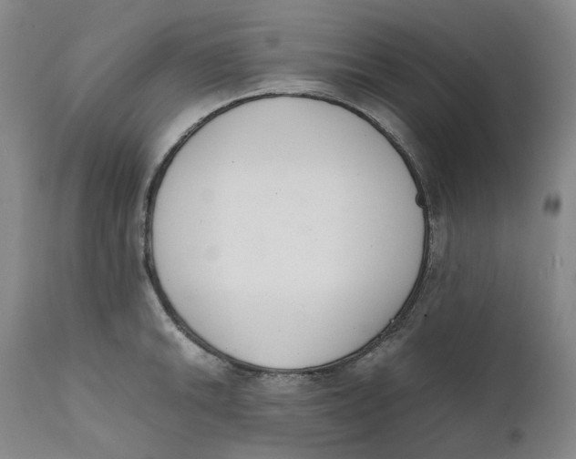 X0000111661046200908071428