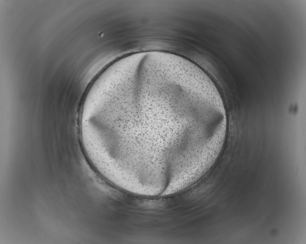 X0000111661047200908071428