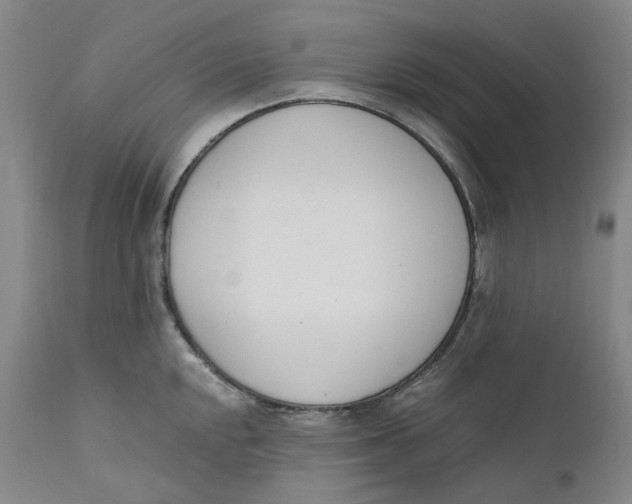 X0000111661048200908071428