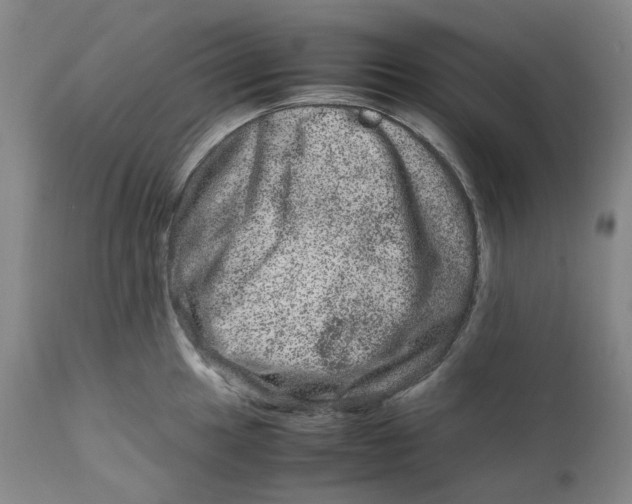 X0000111661049200908071428