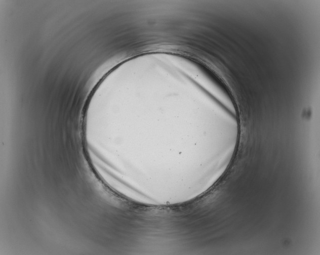 X0000111661050200908071428