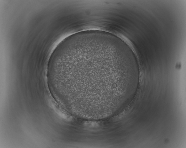 X0000111661051200908071428