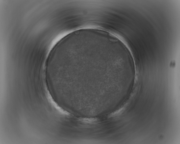 X0000111661053200908071428