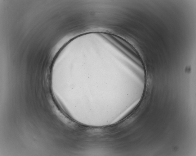 X0000111661054200908071428