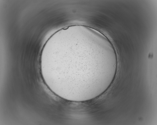 X0000111661056200908071428