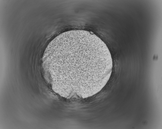 X0000111661057200908071428