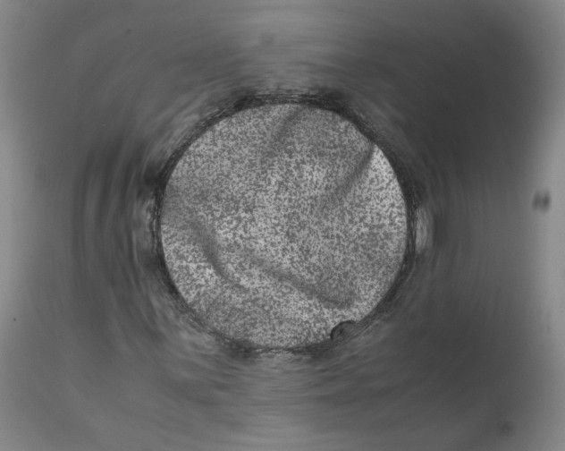 X0000111661059200908071428