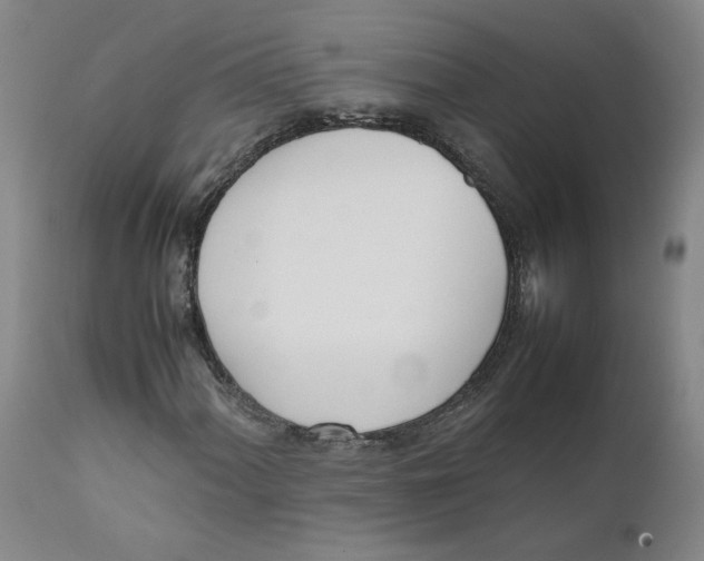 X0000111661060200908071428