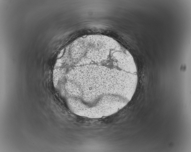 X0000111661061200908071428