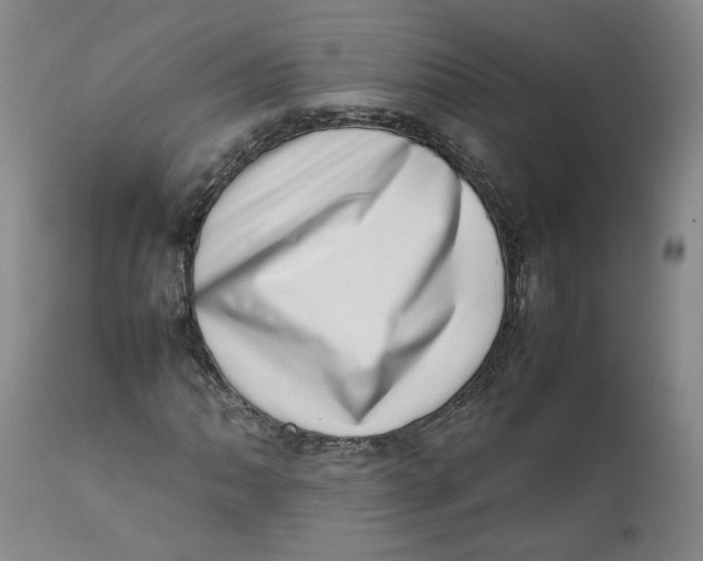 X0000111661062200908071428