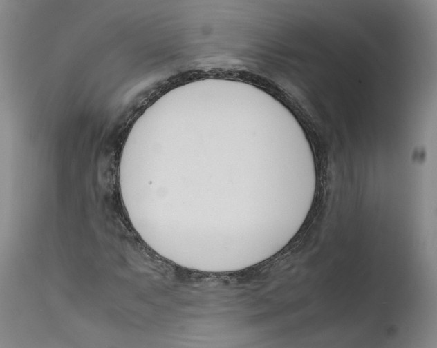 X0000111661063200908071428