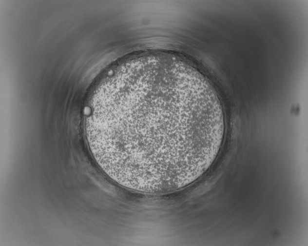 X0000111661065200908071428