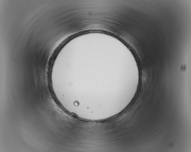 X0000111661068200908071428