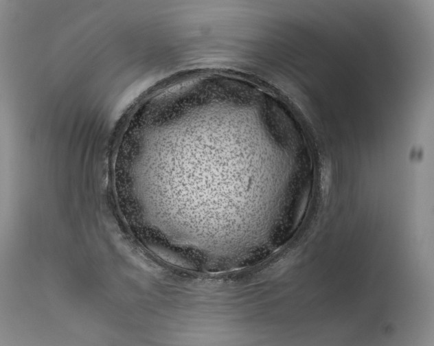 X0000111661069200908071428