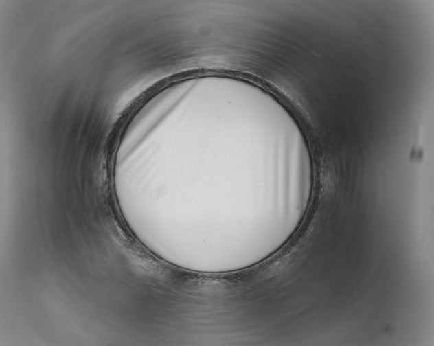 X0000111661070200908071427