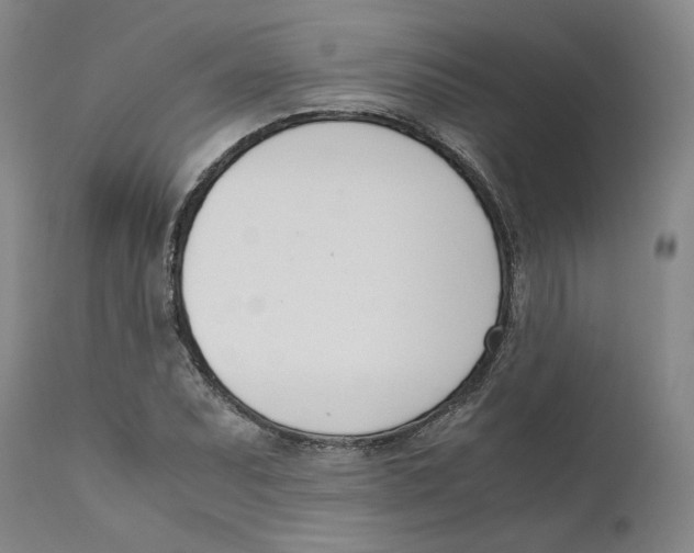 X0000111661071200908071427