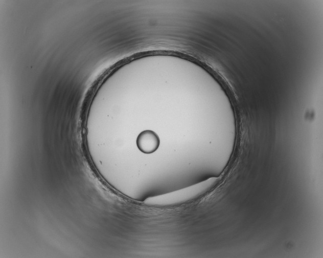 X0000111661072200908071427