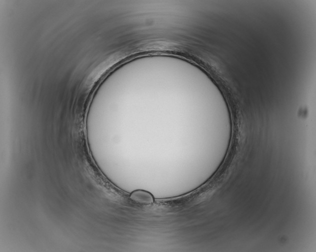 X0000111661073200908071427