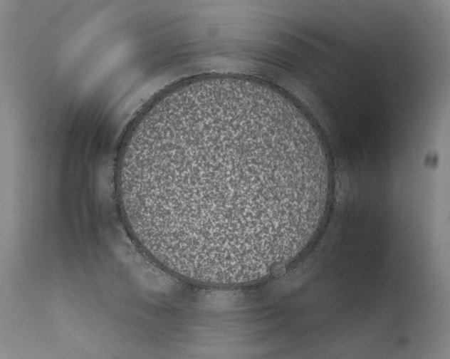 X0000111661074200908071427