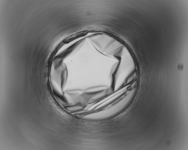 X0000111661075200908071427