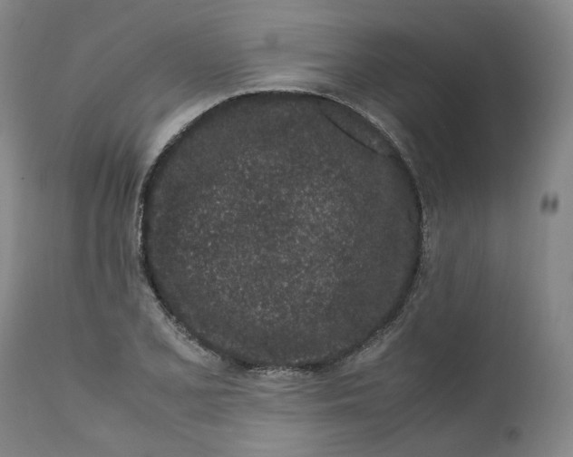 X0000111661077200908071427