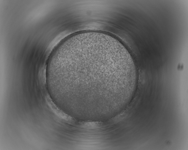 X0000111661078200908071427