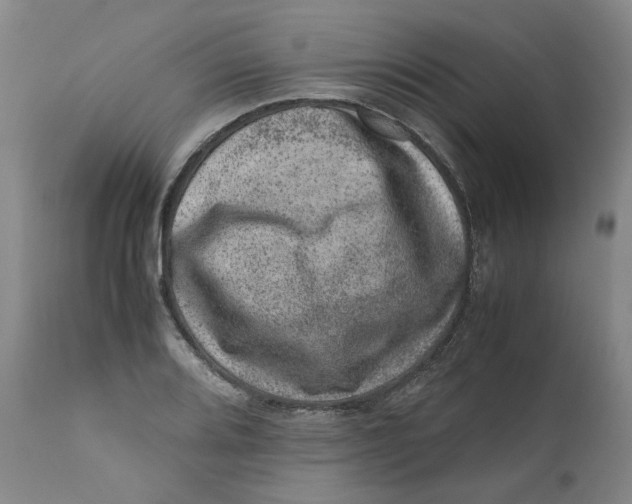 X0000111661080200908071427