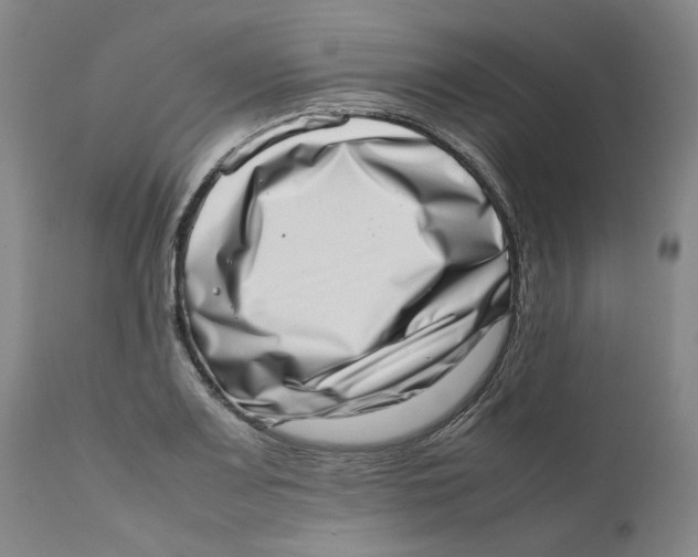 X0000111661083200908071427