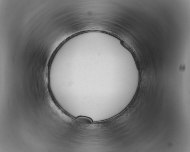 X0000111661084200908071427