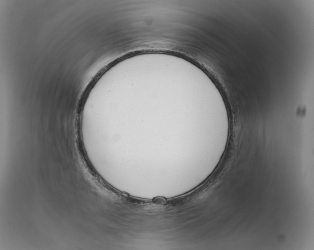 X0000111661085200908071427