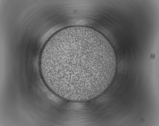 X0000111661086200908071427