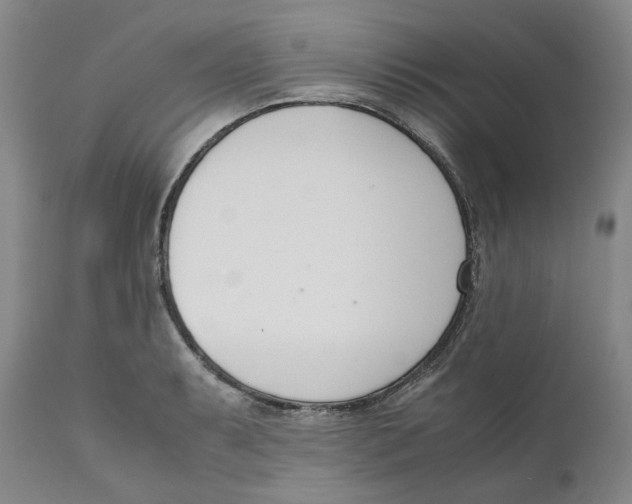 X0000111661087200908071427