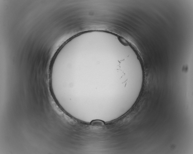 X0000111661088200908071427