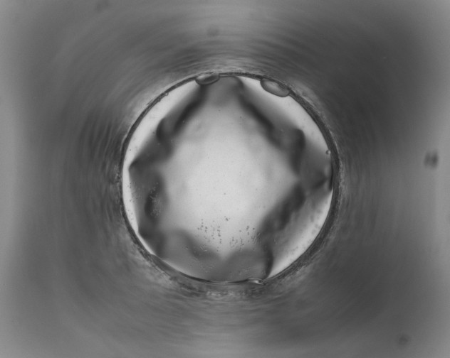 X0000111661089200908071427