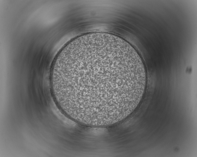 X0000111661090200908071427