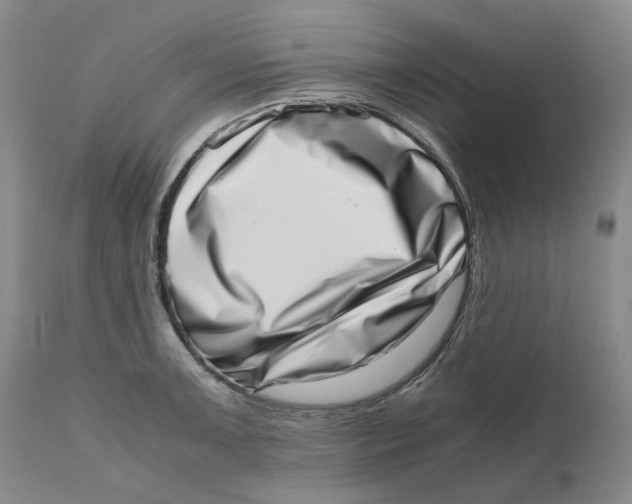 X0000111661091200908071427