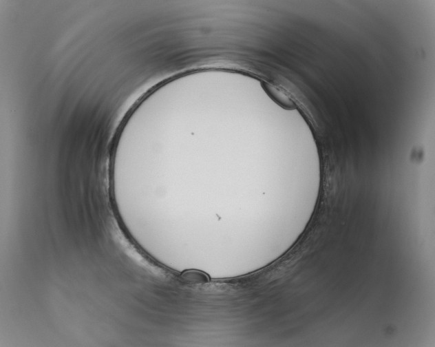 X0000111661092200908071427