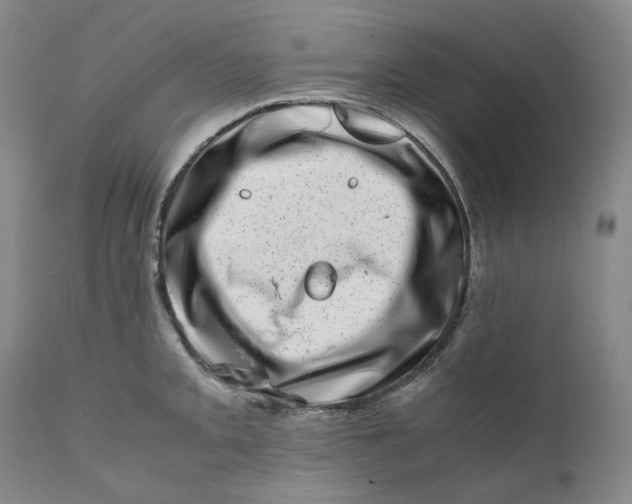 X0000111661093200908071427