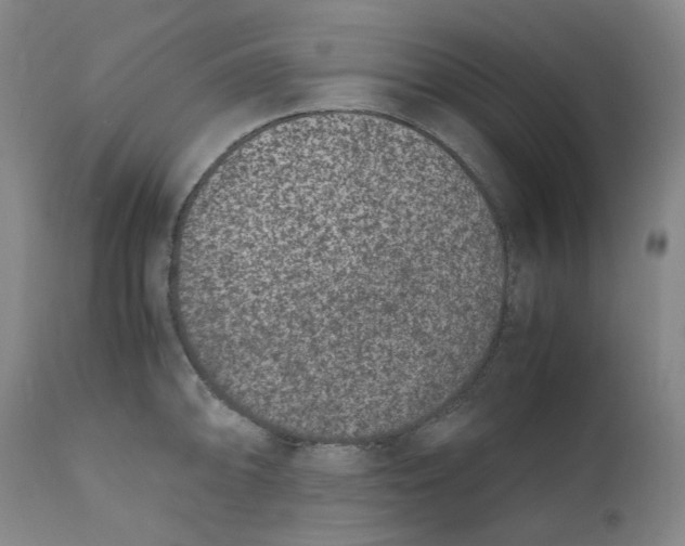 X0000111661094200908071427