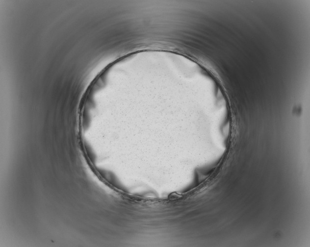 X0000111661095200908071427