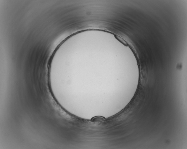 X0000111661096200908071427