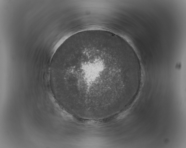 X0000111661097200908071427