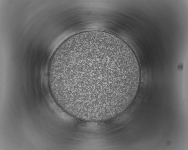 X0000111661098200908071427