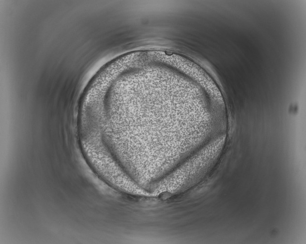 X0000111661099200908071427