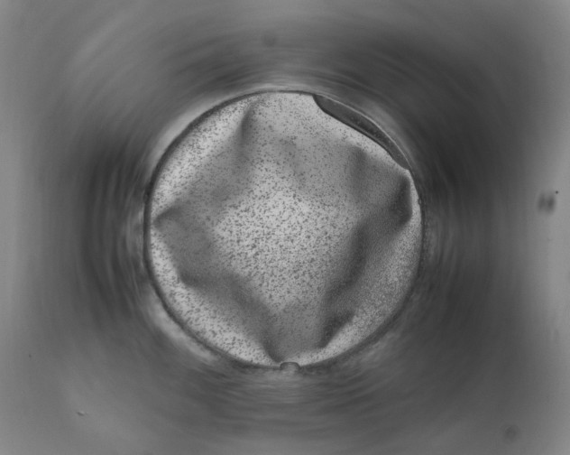 X0000111661100200908071427