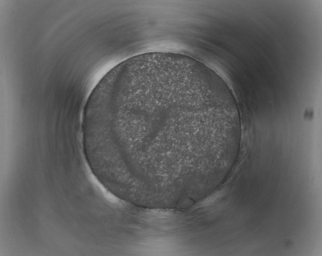 X0000111661103200908071427